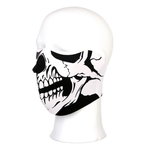 masker doodskop doodshoofd skull