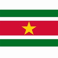 Surinaamse vlag, vlag Suriname