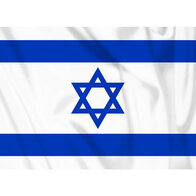 Vlag van Israël, Israëlische vlag