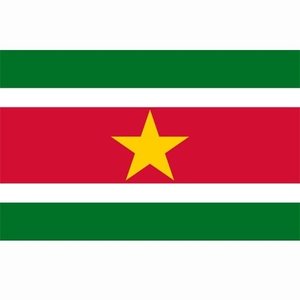 Surinaamse vlag Surinamen