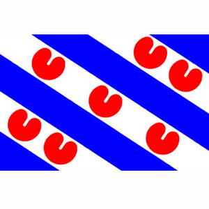 vlag provincie friesland friese vlag