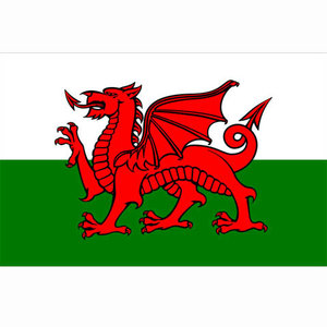 Vlag van Wales